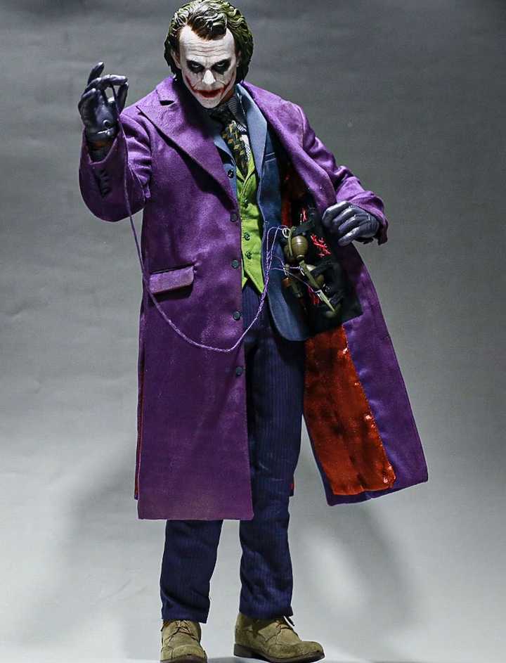 Hot Toys DX11 Joker & Plant Hairs