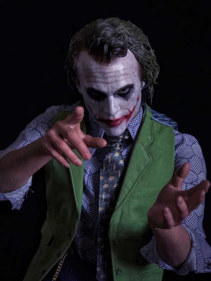 Hot Toys DX11 Joker & Plant Hairs