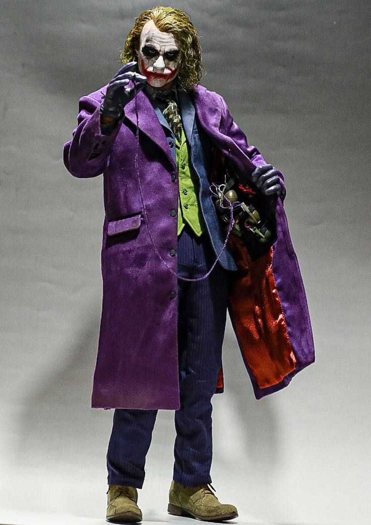 Hot Toys DX11 Joker & Plant Hairs
