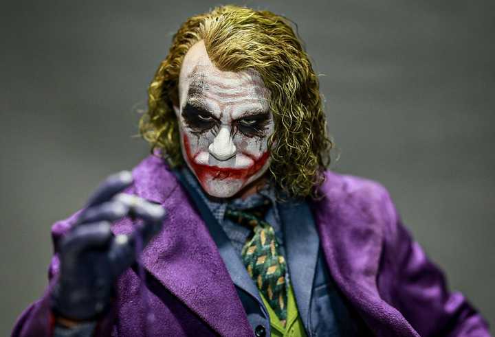 Hot Toys DX11 Joker & Plant Hairs