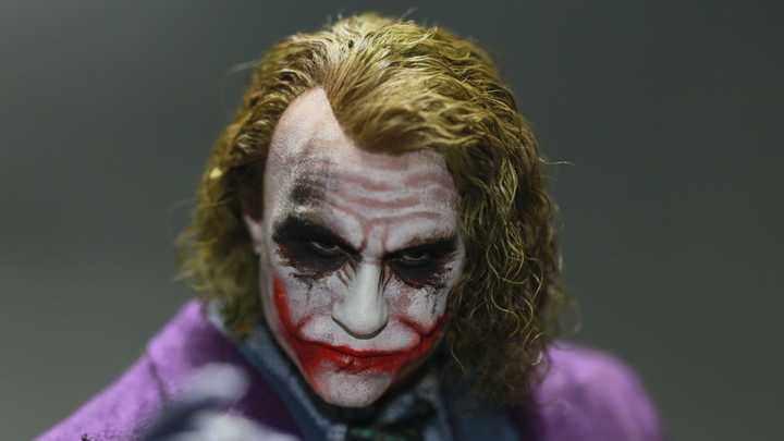 Hot Toys DX11 Joker & Plant Hairs