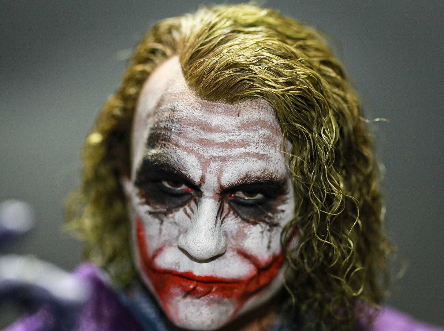 Hot Toys DX11 Joker & Plant Hairs