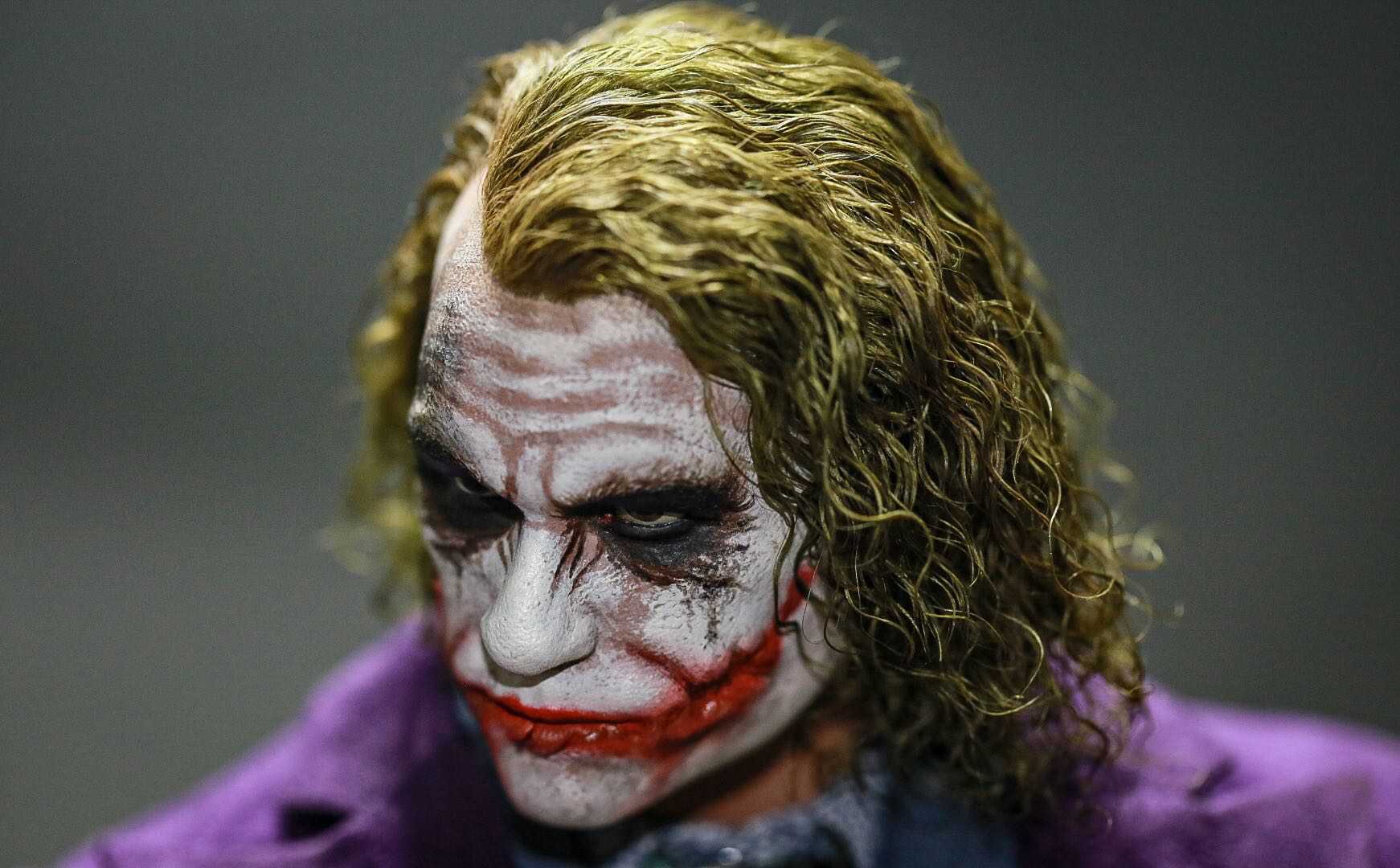 Hot Toys DX11 Joker & Plant Hairs